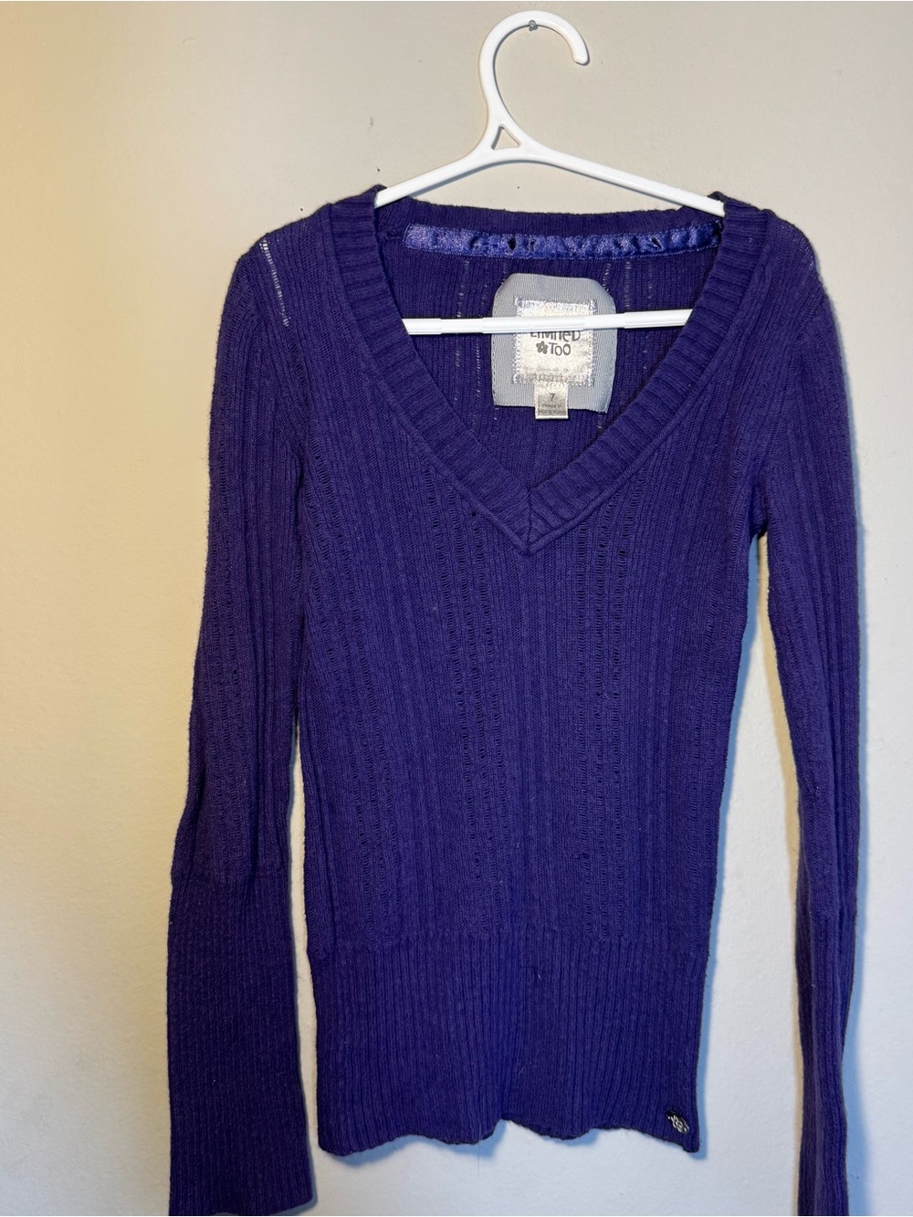 Limited Too Deep Purple V-Neck Sweater